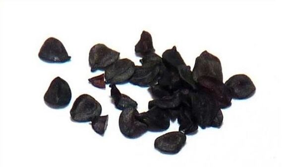 clove seeds against parasites